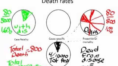 Thumbnail for entry Epidemiology: Calculating Death Rates