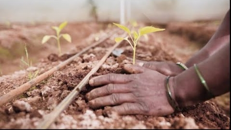 Thumbnail for State of Food Security and Nutrition in the World 2022