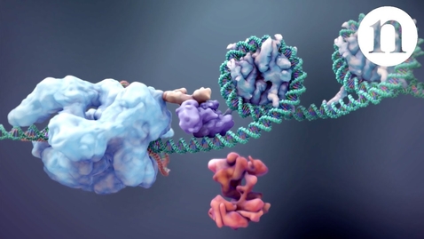 Thumbnail for CRISPR: Gene editing and beyond