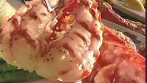 Thumbnail for Red Lobster Mediterranean Commercial (May 4, 2009)