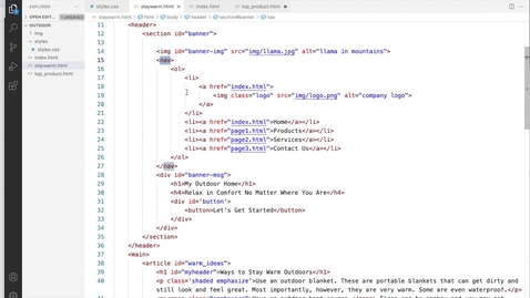 Thumbnail for HTML File Basics