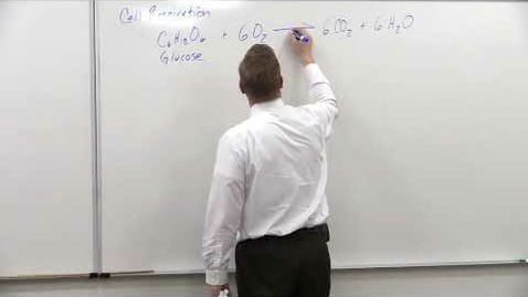 Thumbnail for entry Bio180 Light Reactions