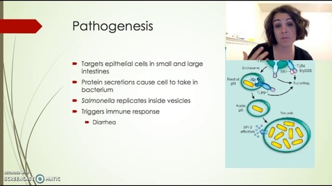 Thumbnail for entry Salmonella Presentation Bio 221