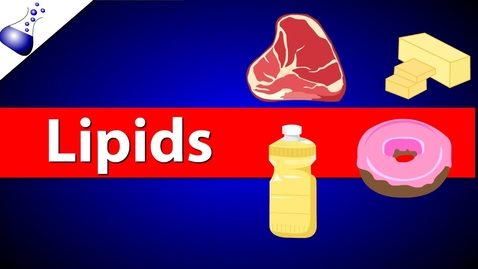Thumbnail for Lipids
