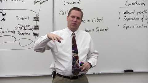 Thumbnail for Cell Structure