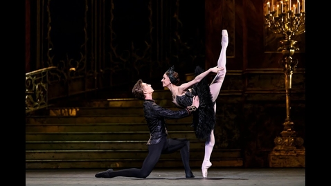 Thumbnail for Swan Lake - Coda from the Black Swan pas de deux in Act III (The Royal Ballet)