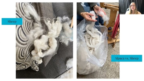 Thumbnail for W04 Natural Fibers Report Video