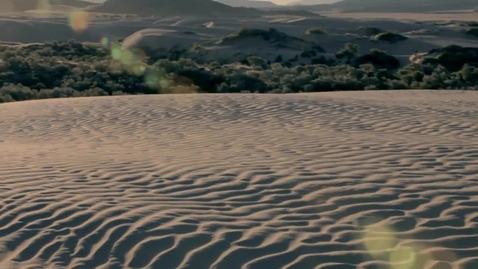 Thumbnail for Clip of The Sting of the Scorpion