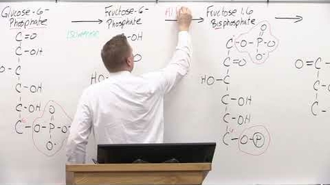 Thumbnail for entry Bio180 Glycolysis