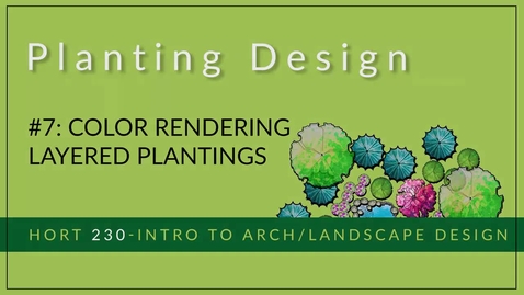 Thumbnail for #7 - Color Rendering Layered Plantings