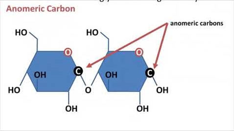 Thumbnail for BIO 180 Carbohydrates