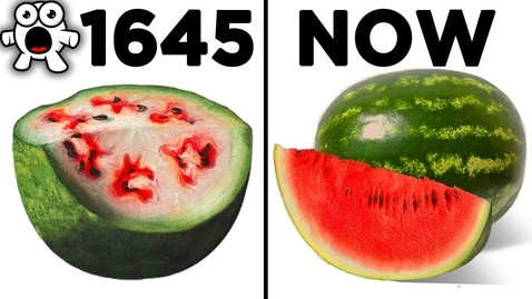 Thumbnail for Foods That Originally Looked Totally Different