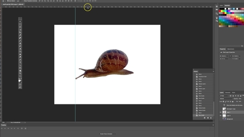 Thumbnail for Guides