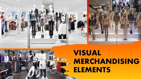 Thumbnail for Important Elements of Visual Merchandising in Retail