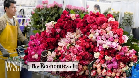 Thumbnail for How 23 Million Flowers Are Delivered From Farm To Doorstep | WSJ The Economics Of