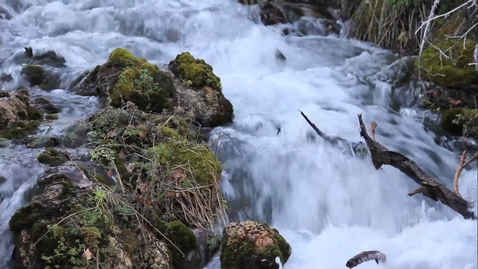 Thumbnail for All Creatures of Our God and King (2012) - Mormon Tabernacle Choir