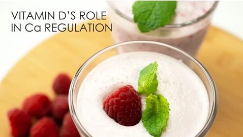 Thumbnail for NUTR 200 - Vitamin D in Ca Regulation