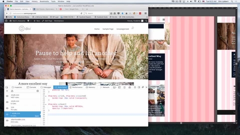 Thumbnail for WordPress Customization - Video 4