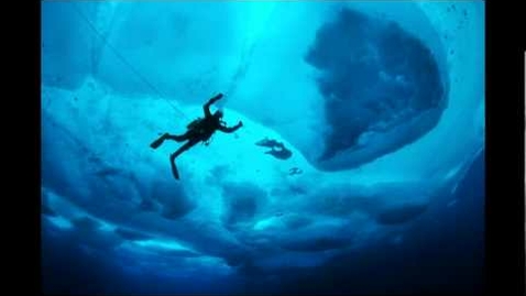 Thumbnail for Tales of ice-bound wonderlands | Paul Nicklen