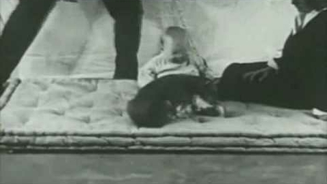 Thumbnail for The Little Albert Experiment