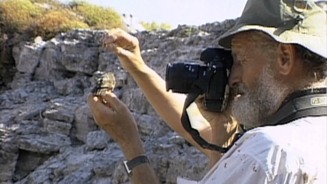 Thumbnail for Galapagos Finch Evolution - HHMI BioInteractive Video