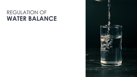 Thumbnail for Water Regulation