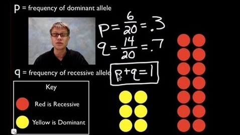 Thumbnail for entry Hardy-Weinberg Equation