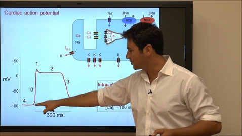 Thumbnail for Cardiac Action Potential: Tutorial