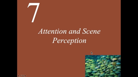 Thumbnail for Visual Attention 1