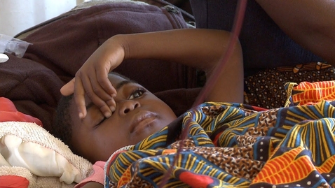 Thumbnail for Malaria eradication: what we need to do.