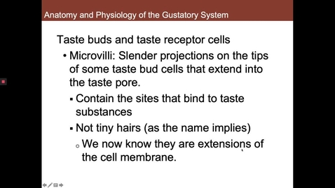 Thumbnail for Taste Receptors
