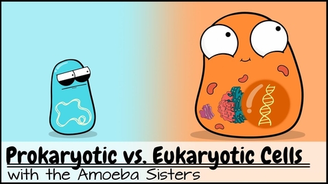 Thumbnail for Prokaryotic vs. Eukaryotic Cells (Updated)