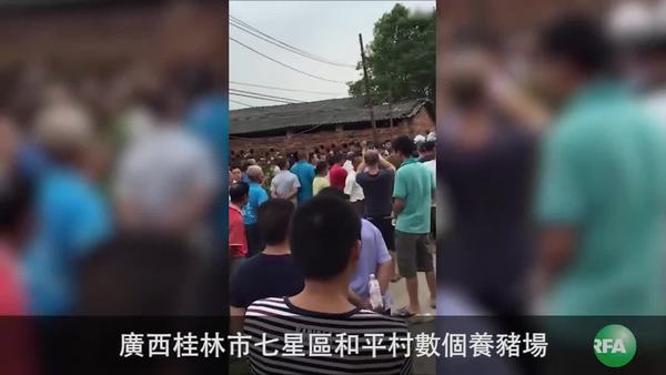 桂林政府強拆豬場貯地　村民反抗8人躺血