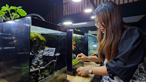 Yangon company creates miniature landscapes for stress relief