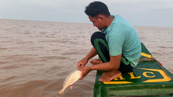 Fishermen in Cambodia struggle as fish stocks decline