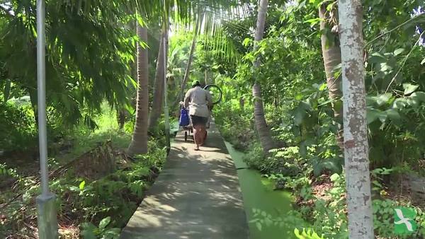  The Battle to Save Suburban Bangkok's 'Green Lung'