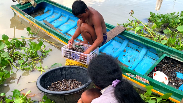 អ្នកនេសាទងាកទៅរកលៀស ដើម្បីចិញ្ចឹមជីវិត ដោយសារការចំនួនត្រីធ្លាក់ចុះ