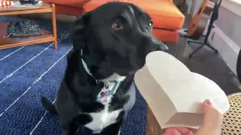 Thumbnail for Heart-Shaped Box