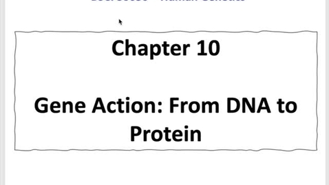 Thumbnail for HG_Chapter 10_Video 1