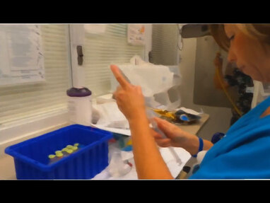 Video Gallery Emergency Medicine News