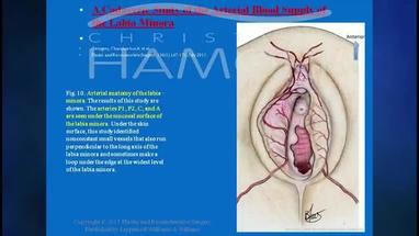 Video Gallery Plastic And Reconstructive Surgery