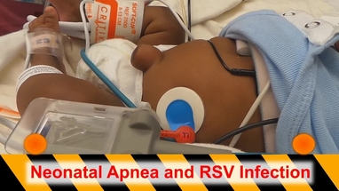 Video Gallery Emergency Medicine News