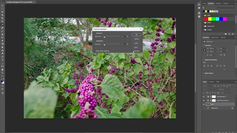 Thumbnail for Photoshop Adjustments