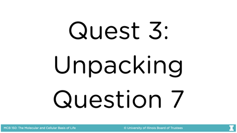 Thumbnail for Quest 3 SP22, Question 7 Explanation