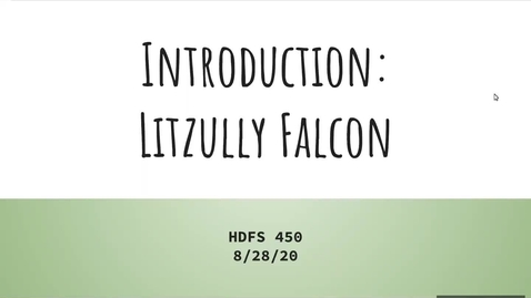 Thumbnail for Litzully Falcon's Introduction