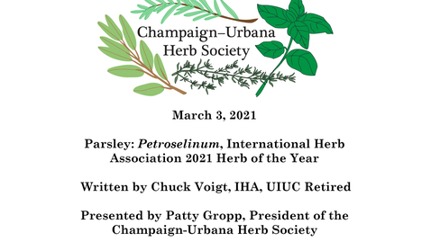 Thumbnail for C-U Herb Society Meeting March 3, 2021 &quot;Parsley: Petroselinum, International Herb Association 2021 Herb of the Year&quot;