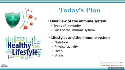 Thumbnail for Healthy Behaviors for a Healthy Immune System