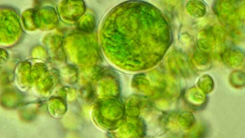 Thumbnail for Lecture 24 NPRE 498 Energy Storage Systems Fall 2025 Dr Magdi Ragheb -NPRE 498-Energy Storage Systems-Sections ESG, ESO, ESU