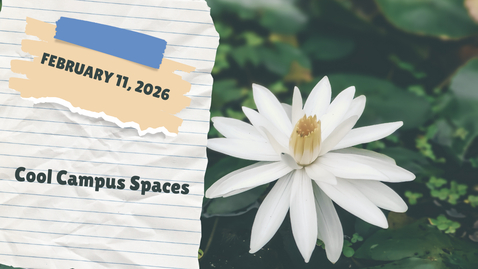 Thumbnail for IGET Meeting February 11, 2026 - Cool Campus Spaces