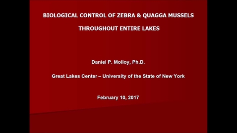 Thumbnail for NRES 500 Spring 2017 - Molloy - Biological control of zebra &amp; quagga mussels throughout entire lakes